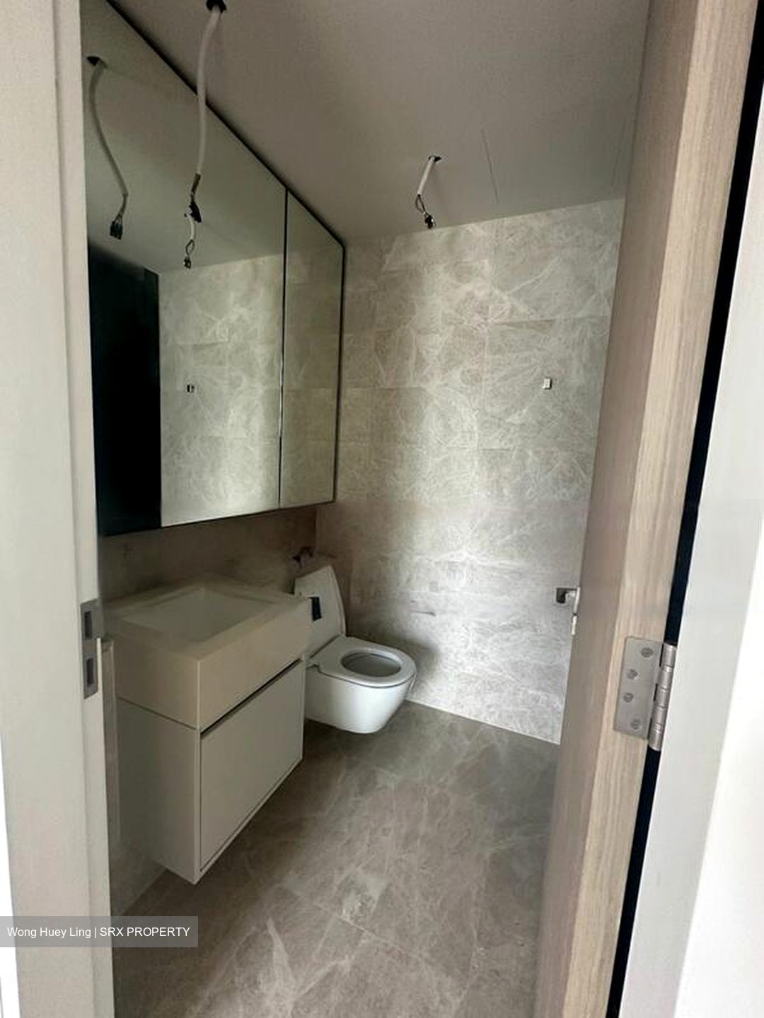 Amber Park (D15), Condominium #562239081